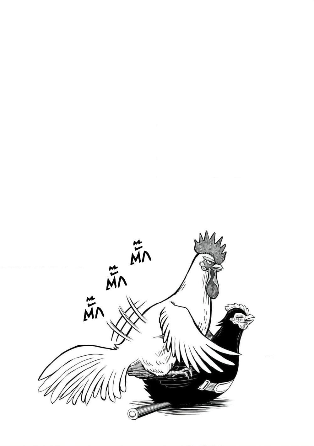 อ่านการ์ตูน Rooster Fighter 7 ภาพที่ 20