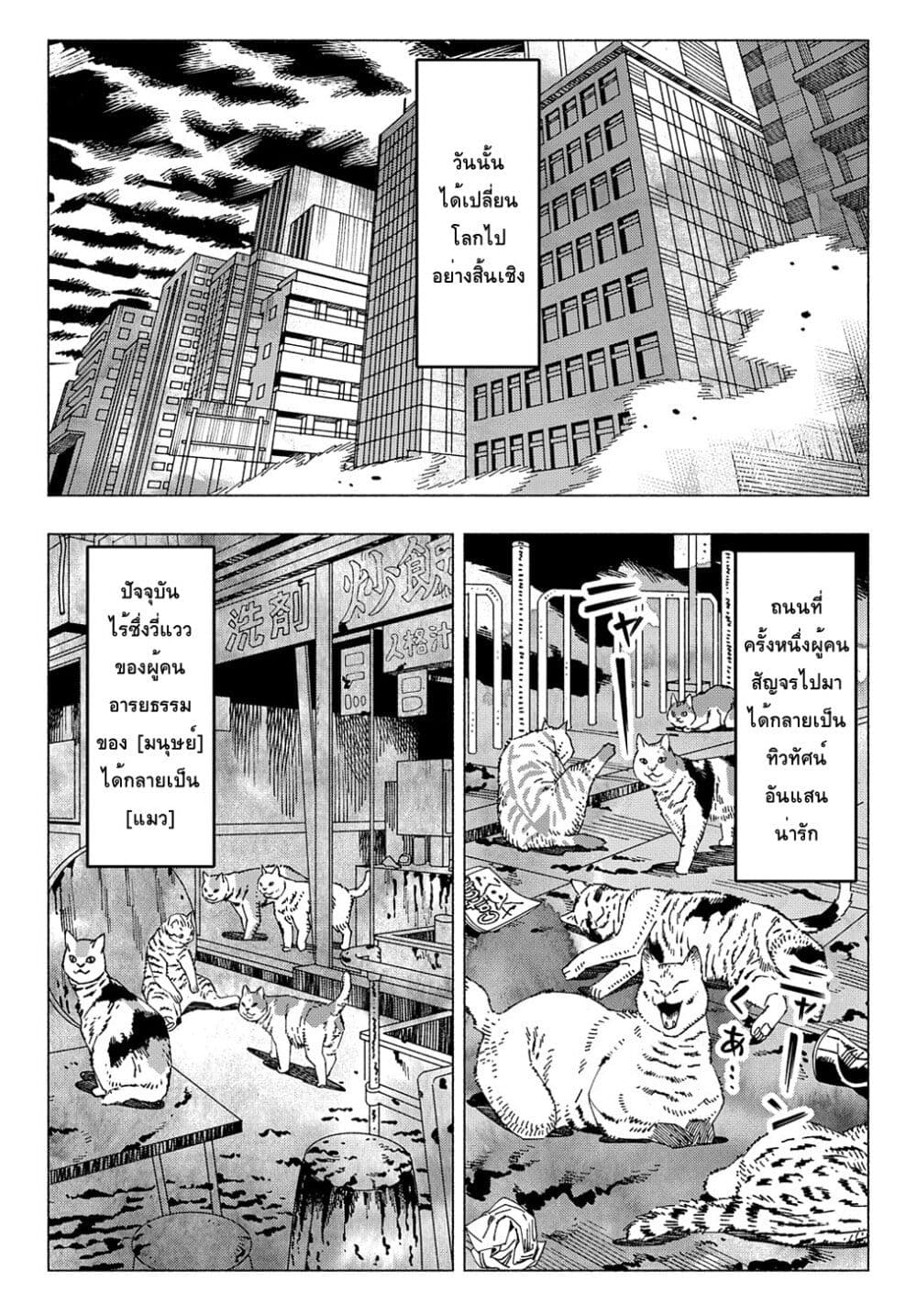 อ่านการ์ตูน Nyaight of the Living Cat 6.4 ภาพที่ 10