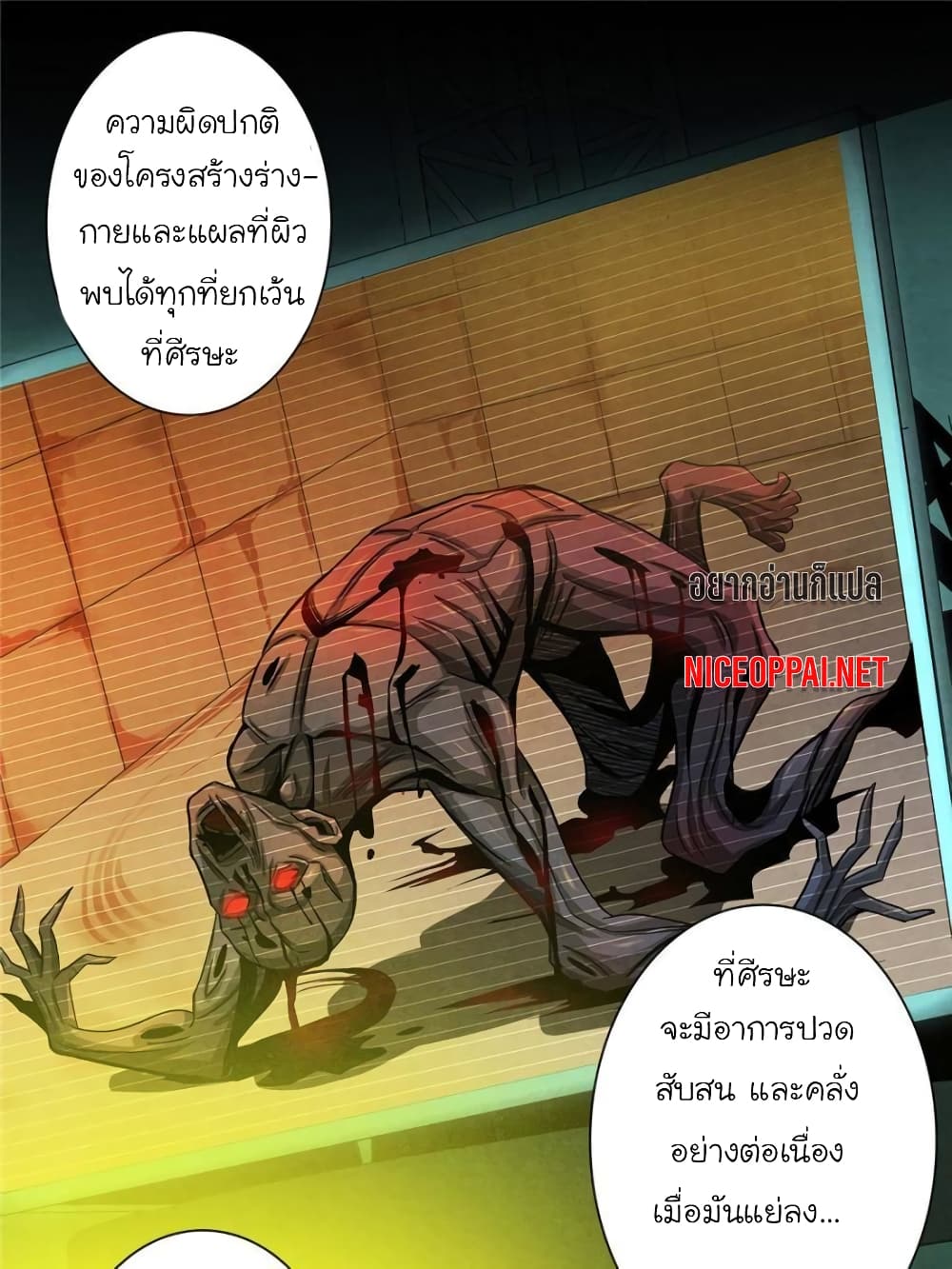 อ่านการ์ตูน Dr.Don 19 ภาพที่ 52