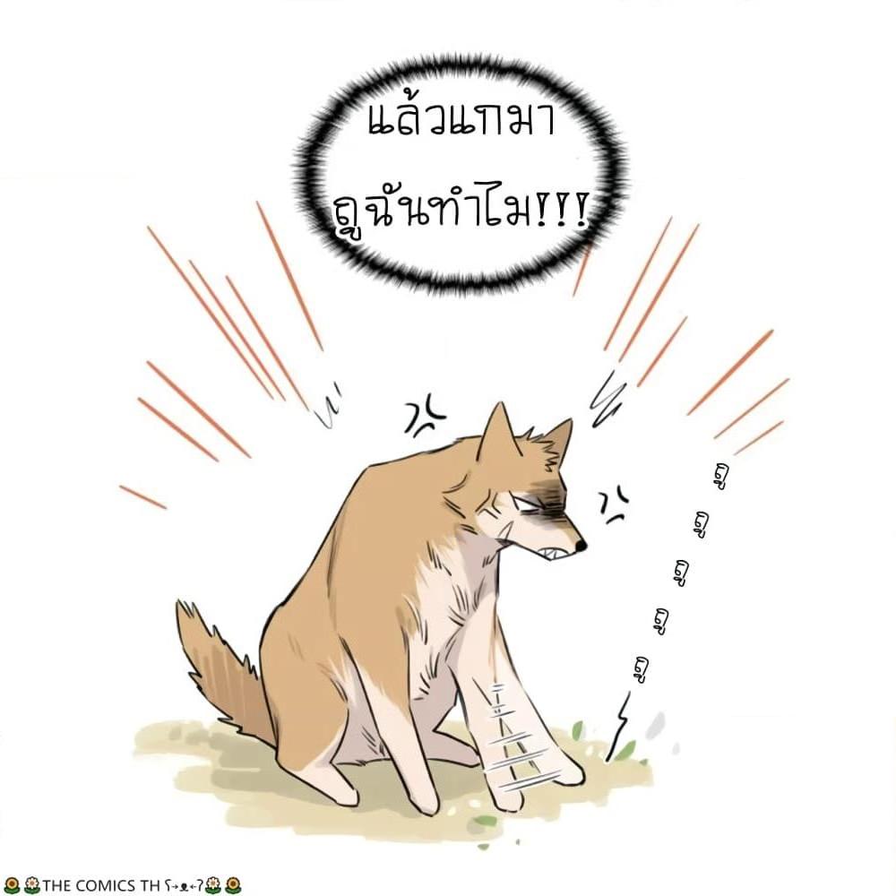 อ่านการ์ตูน The Wolf That Picked Something Up 12 ภาพที่ 19