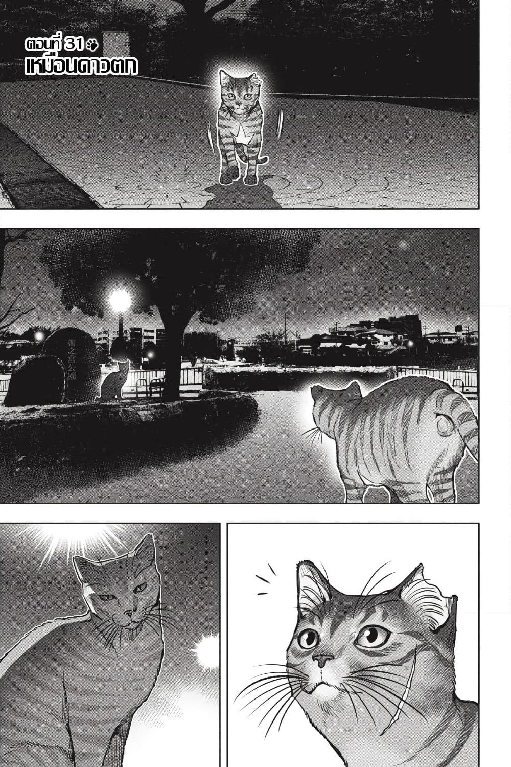 อ่านการ์ตูน Nyankees 31 ภาพที่ 1