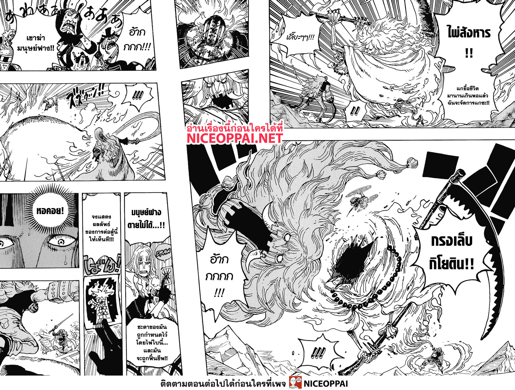 อ่านการ์ตูน One Piece 1029 ภาพที่ 13