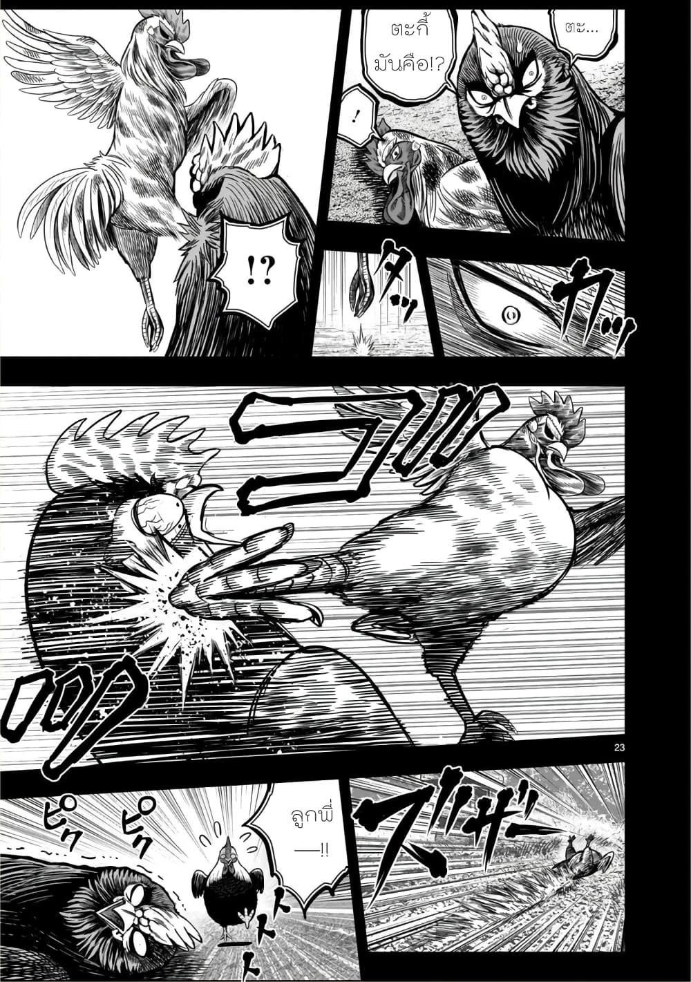 อ่านการ์ตูน Rooster Fighter 11 ภาพที่ 23