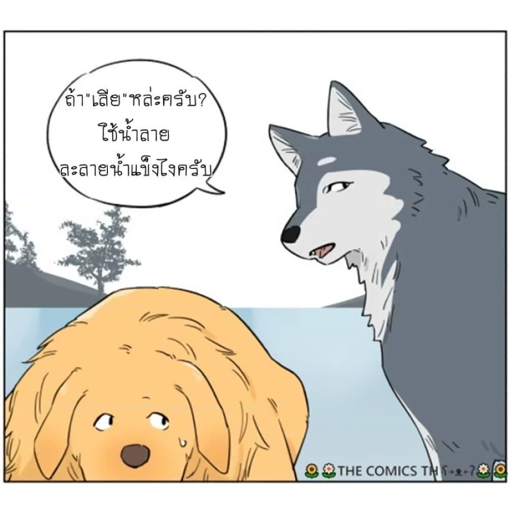 อ่านการ์ตูน The Wolf That Picked Something Up 5 ภาพที่ 11