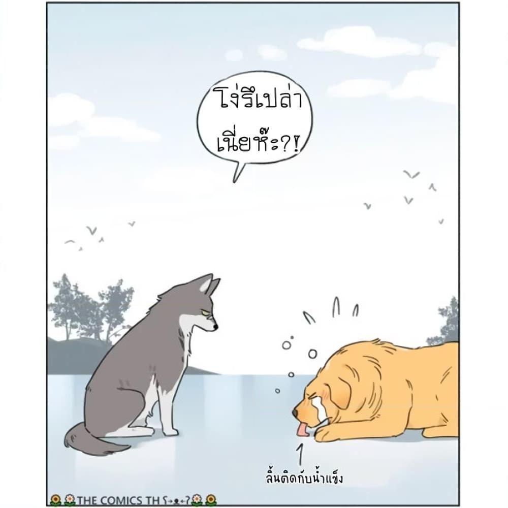 อ่านการ์ตูน The Wolf That Picked Something Up 5 ภาพที่ 4